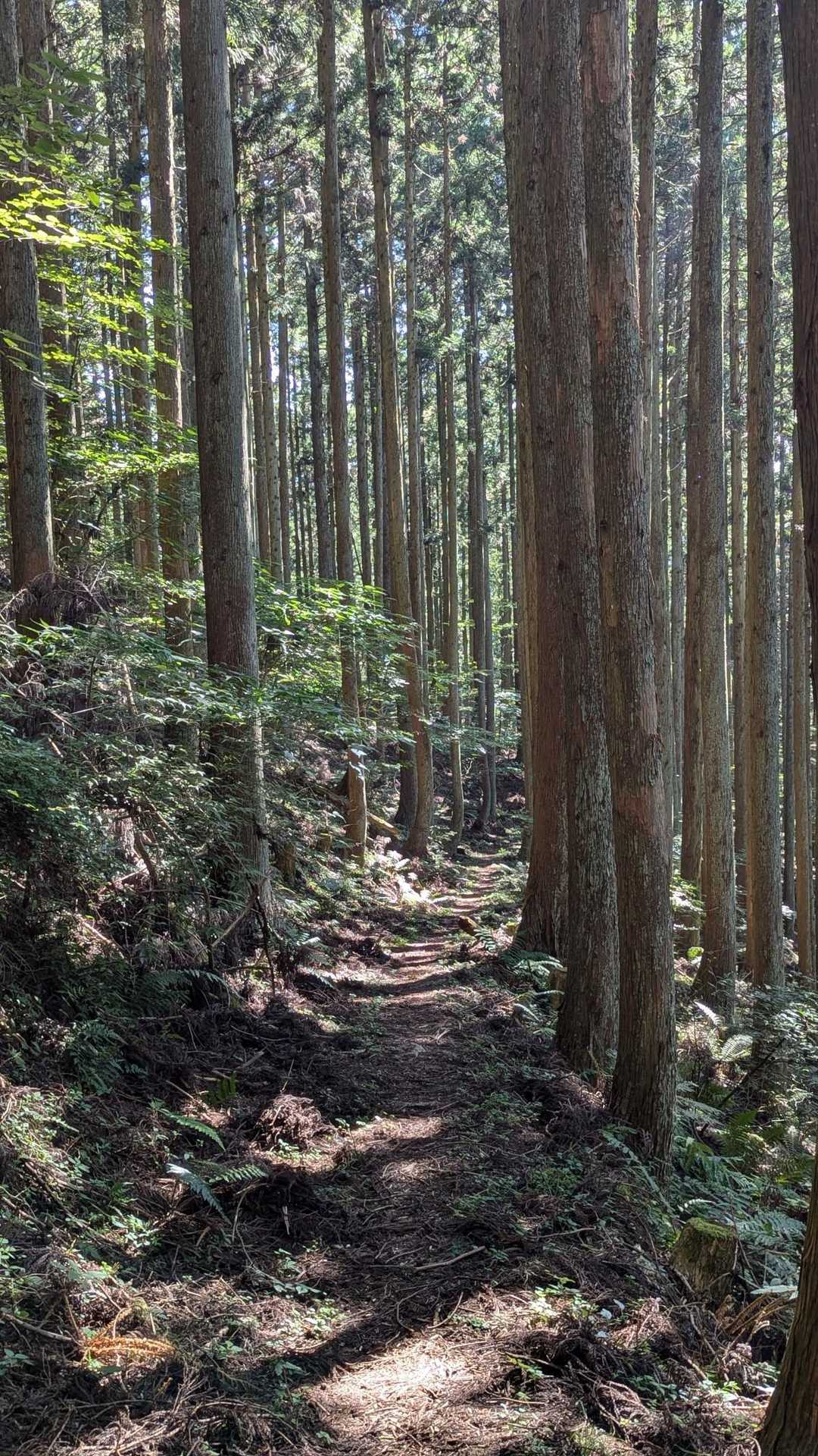 なんか好き