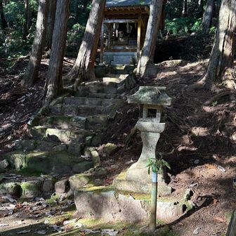 学問と医薬を祀る神社らしくジジイだし健康祈願を。学問は察して知るべし🤦