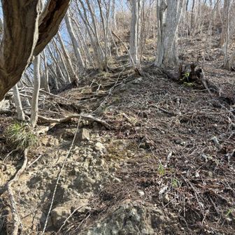 迂回路もザレザレでどっちもどっちと聞いた
ロープはある
行ってみよう