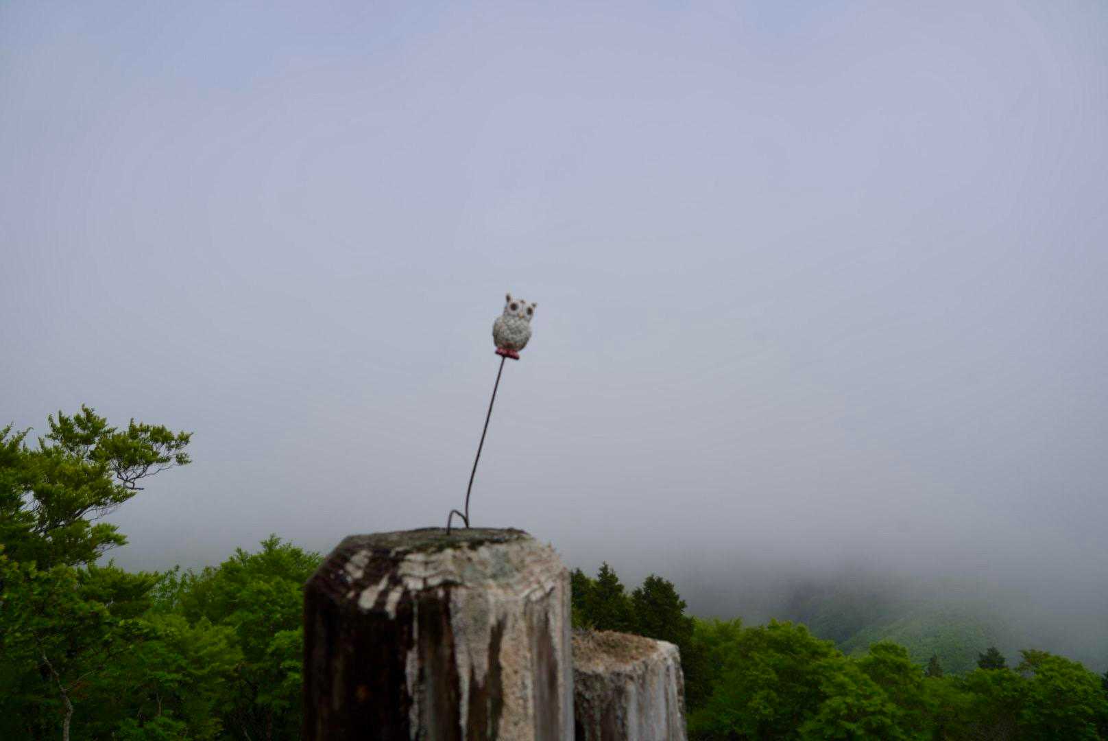 
　　🦉さん　2度目まして😊
