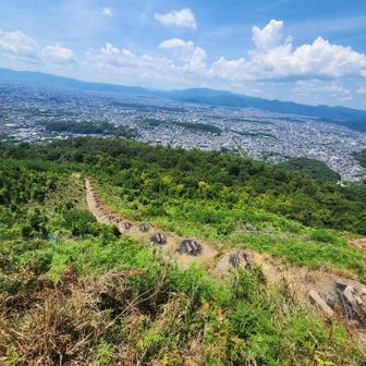 ｢大｣の字の右はらいの部分から
下山↘