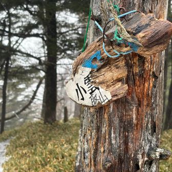 見過ごされがちな小雲取山