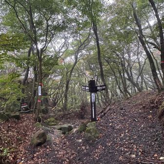 分岐
右➡️池窪登山口
登山バスが運行する時期です…🚌