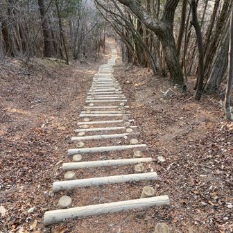 竜王への階段。ラスボス感あって好きだけど階段は嫌い