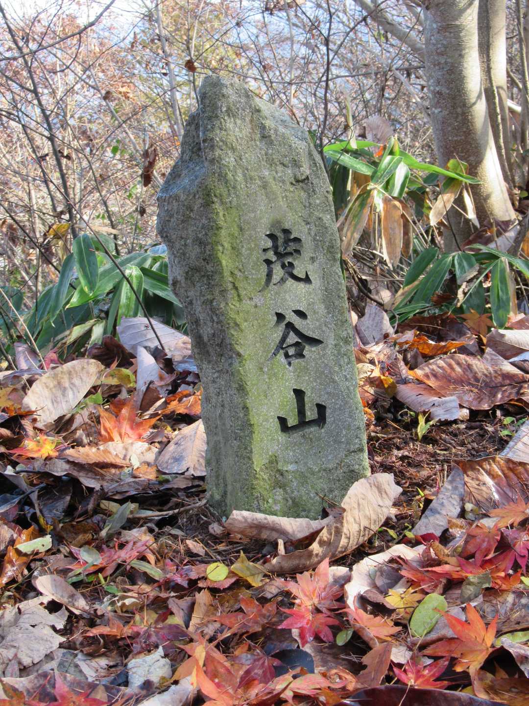 山頂到着