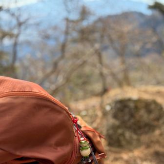 お馴染み無事カエル🐸君レッドと富士山🗻