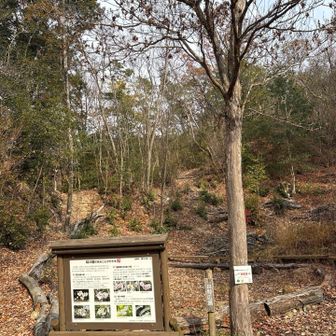 下った先には『桜の園』