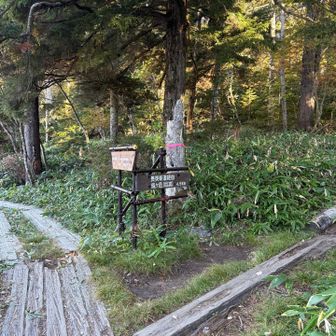 燧ヶ岳へは長英新道を登る．