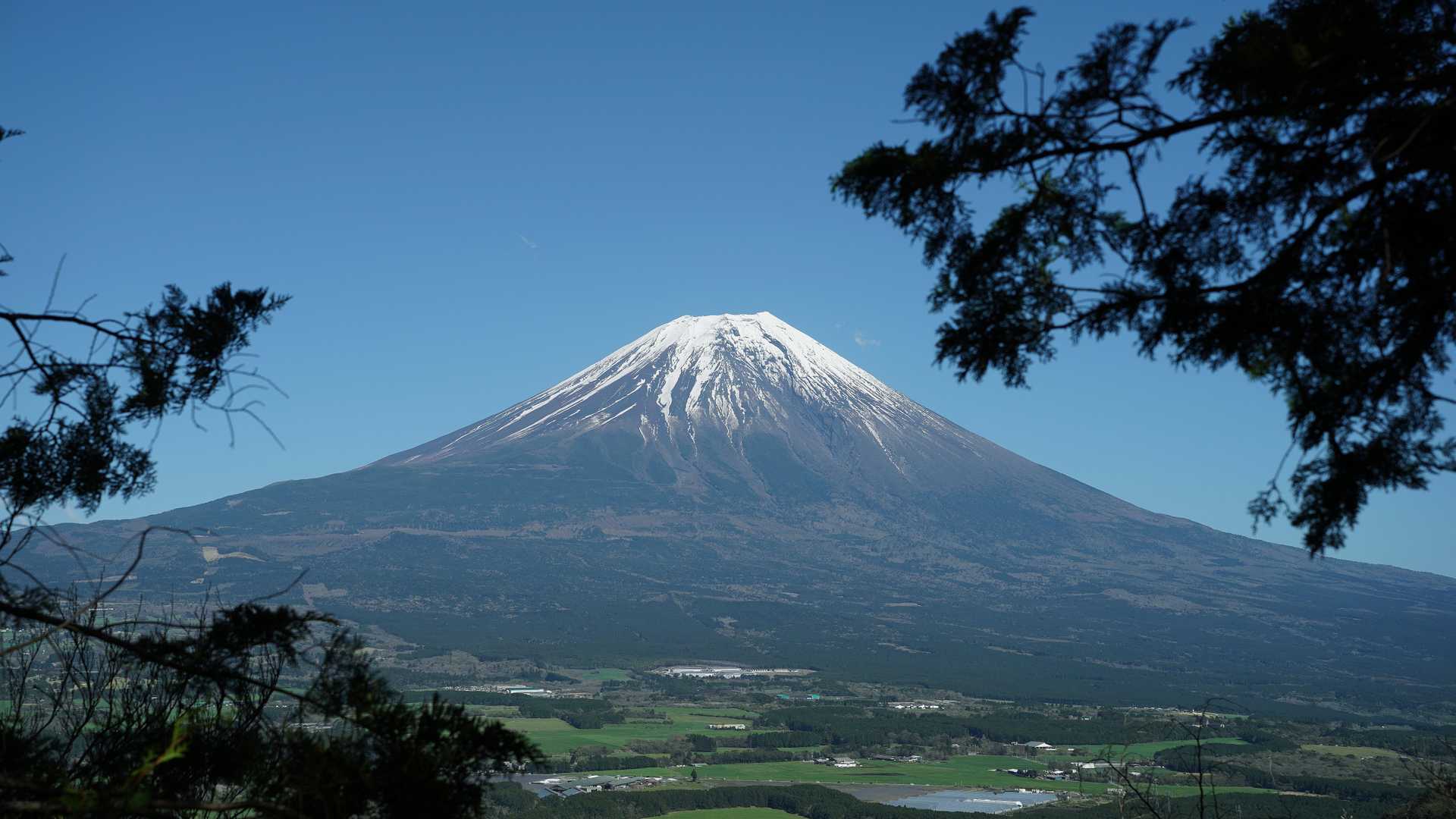 名もなき展望エリア