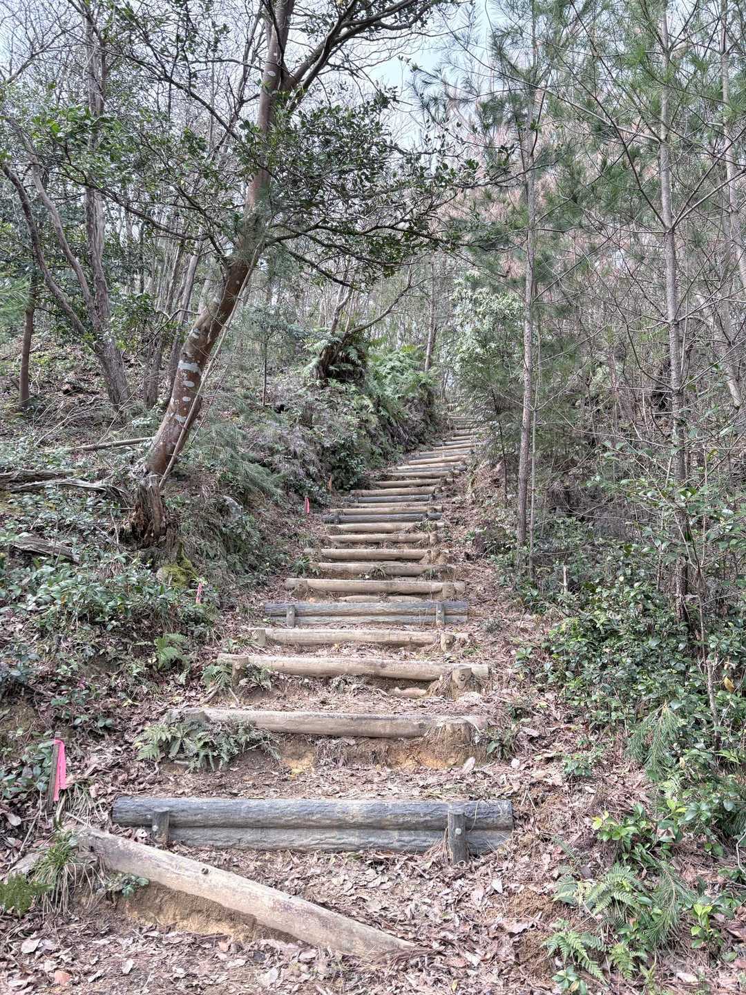旅伏山登山口-旅伏峰 往復コースの写真