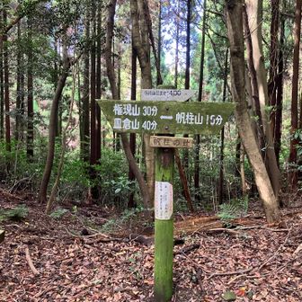 帆柱の辻、荷物置いて、帆柱山へ向かいます。