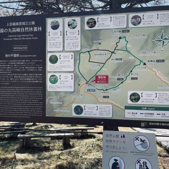 案内板