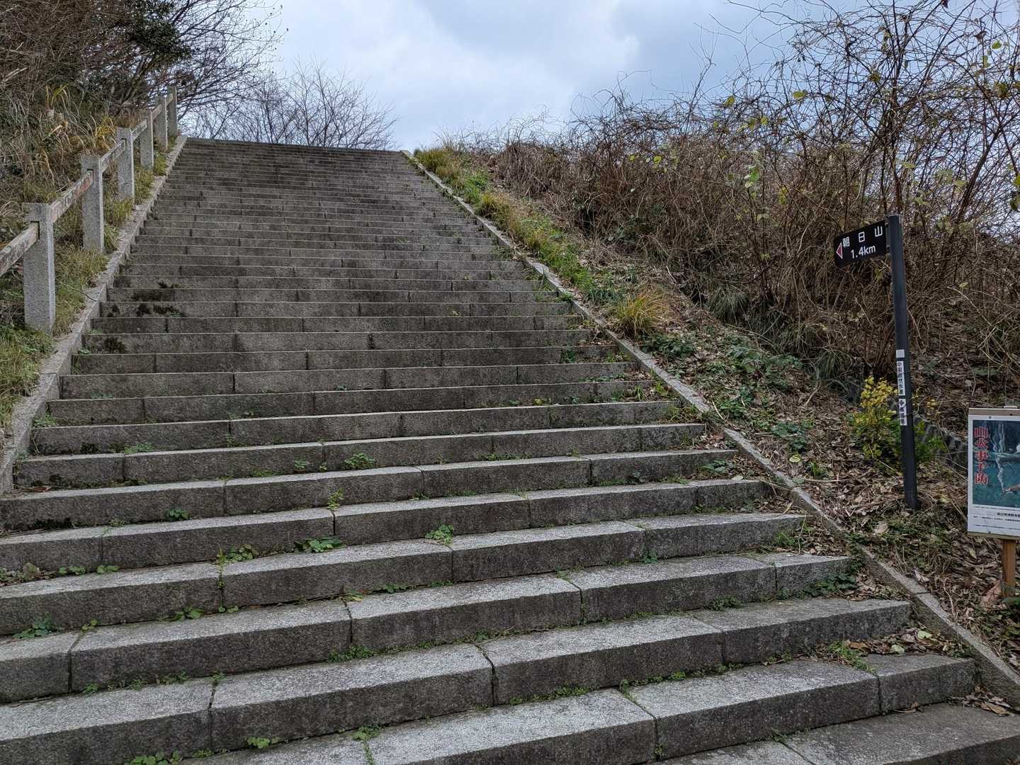 今日はこちらのルートから👍