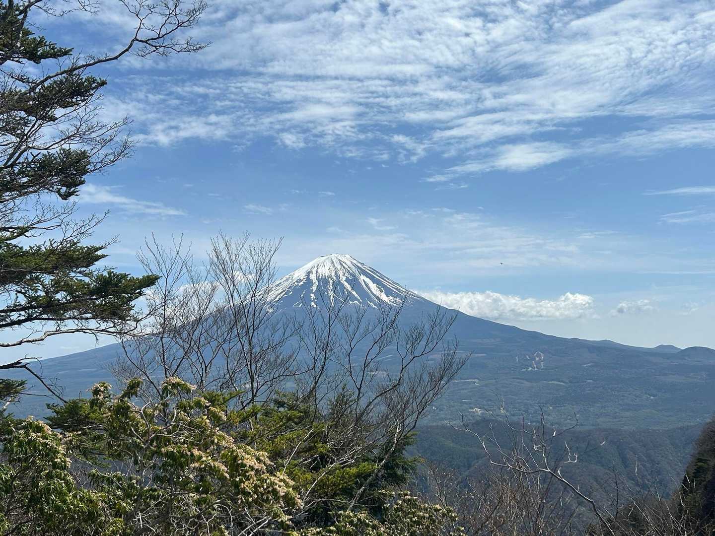 十二ヶ岳登山道入口-ミネ山-毛無山-十二ヶ岳-桑留尾登山口 縦走コースの写真
