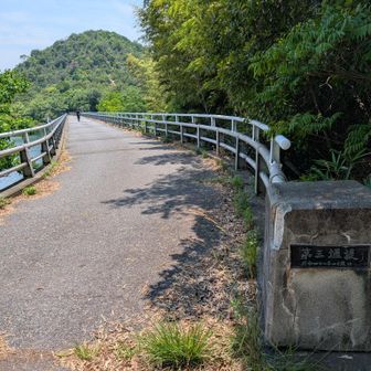 一旦下の遊歩道まで下りました
正面の山に取り付きます