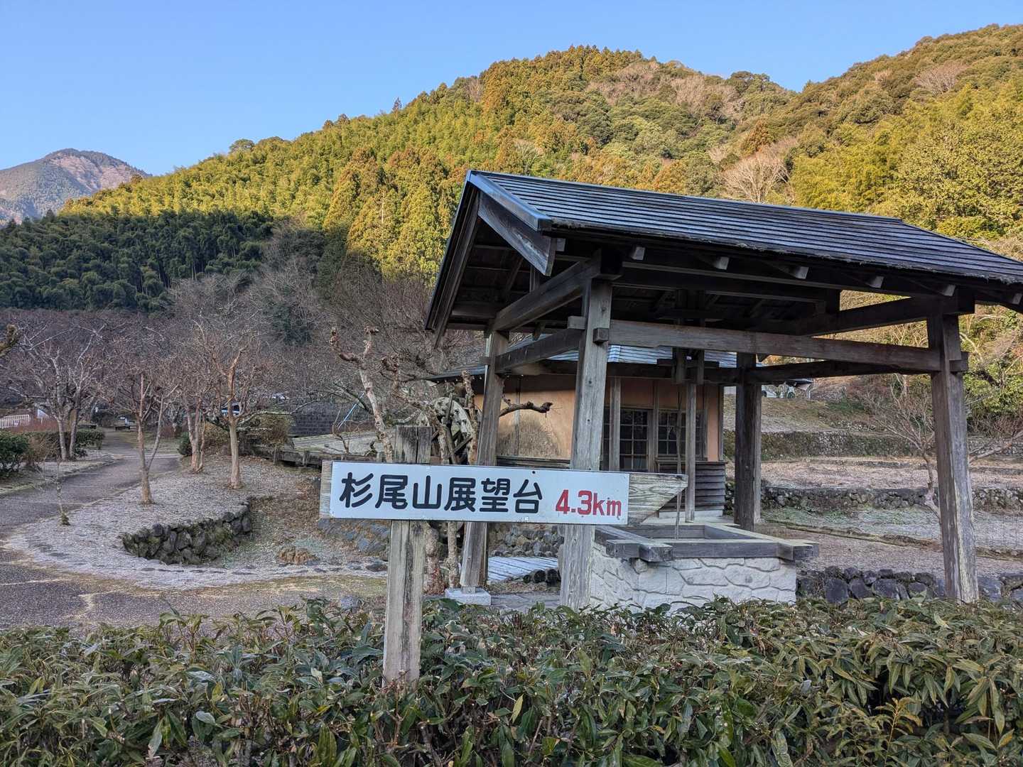 杉尾山 往復コースの写真