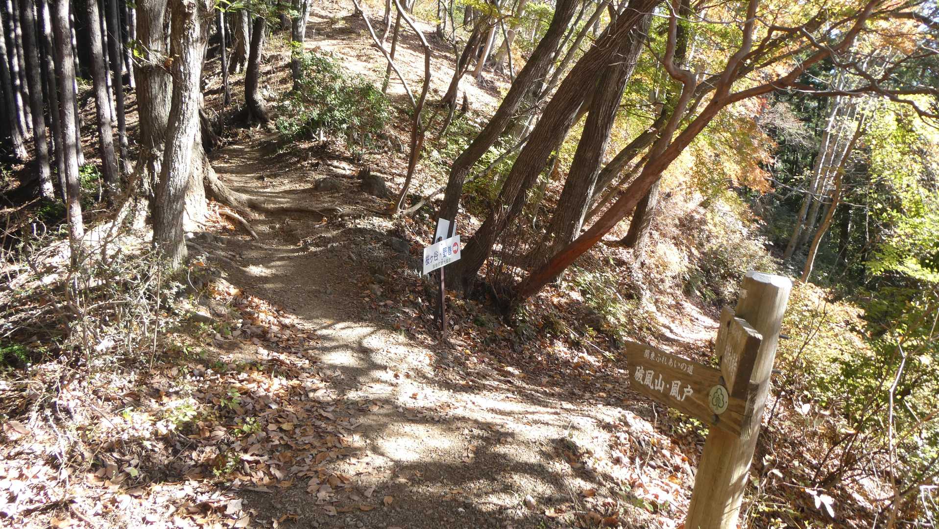 巻き道を分岐します