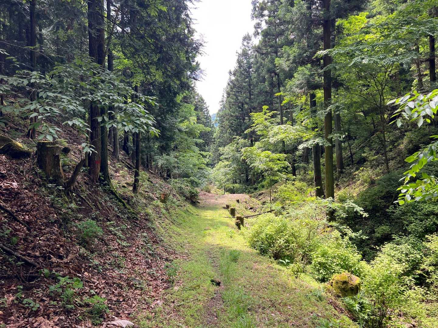のんびり🚶行きます♪