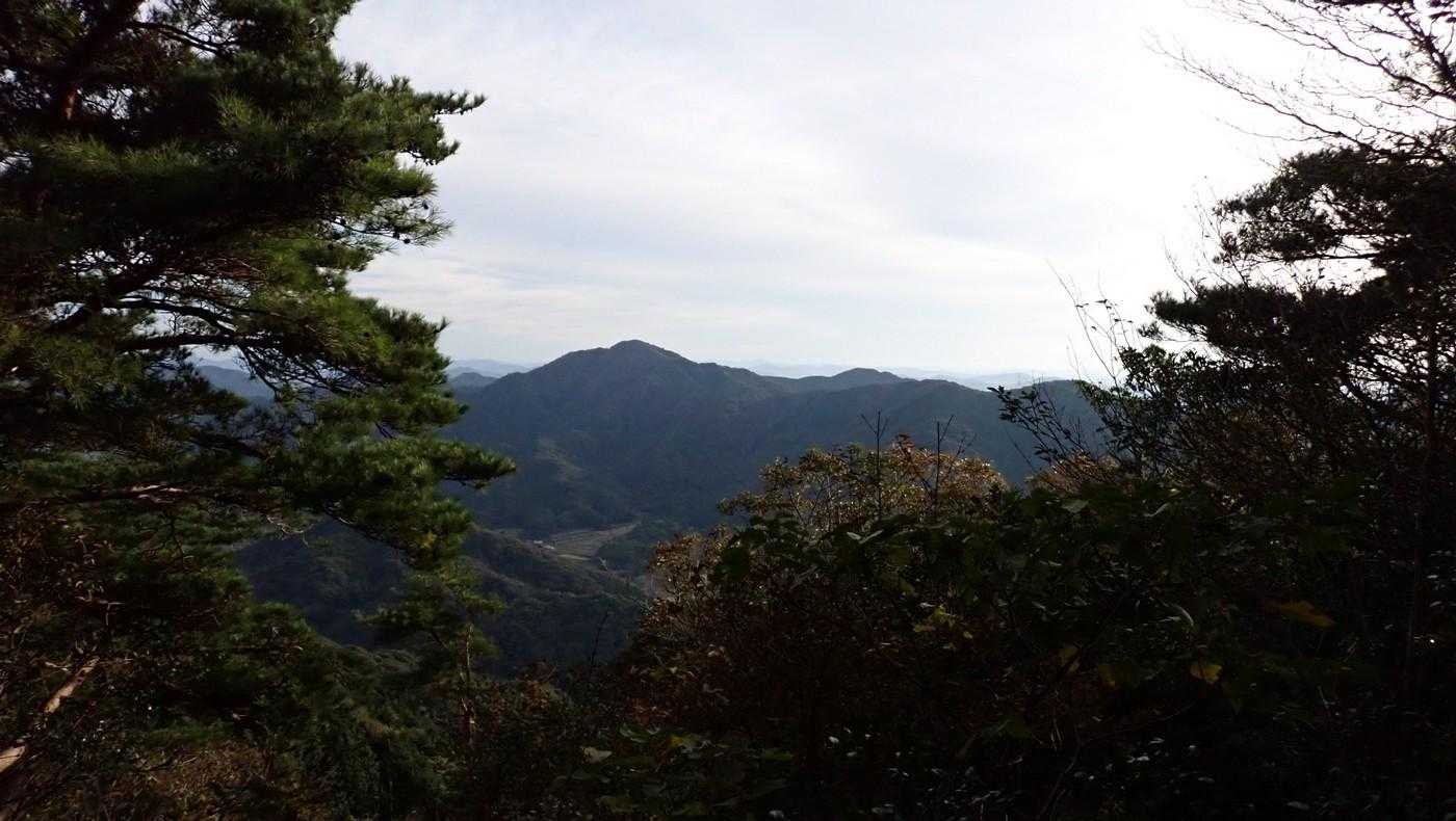 残念ながら、どこがどこだか分からない。