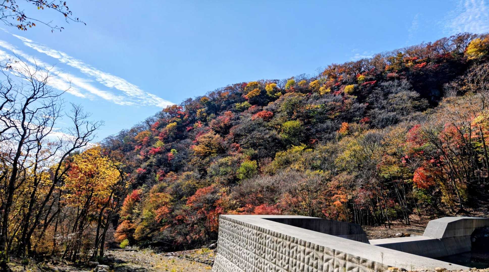 赤川登山口-久住山 往復コースの写真