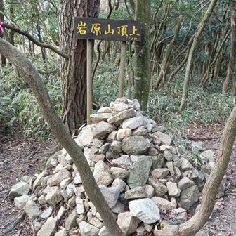 岩原山到着。宝塚市最高峰。
ココで小休憩