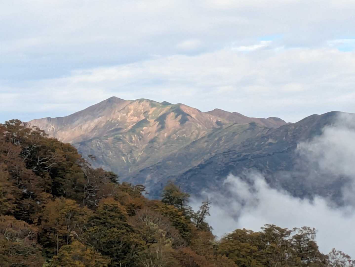 イカツイ