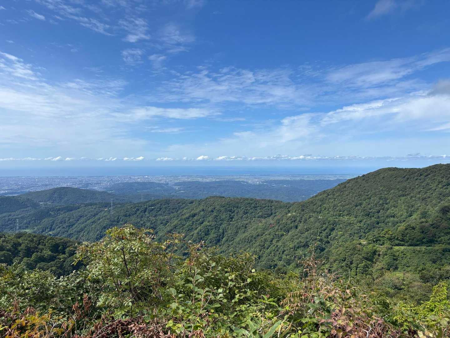前山-白兀山-蛇尾山-夕霧峠-奥医王山 周回コースの写真
