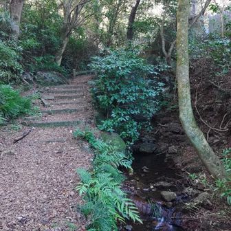 境内の石段に足をかけたらいきなり左足膝がつった‼️一度車道にでるとすぐ収まりまた境内の石橋を渡ろうとしたら左足大腿部がつった😱もしかして結界⁉️私拒まれてる⁉️
