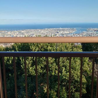 山頂着
山頂周辺は塔の工事、落ち葉の片付けする人で賑やか（作業中の👨もかなり話好きらしい、にんぎゃか）