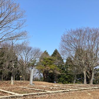 見晴らし台があったんですね。