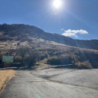 光が射して美しかった