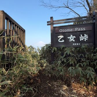 絶景続き、テンション上がる