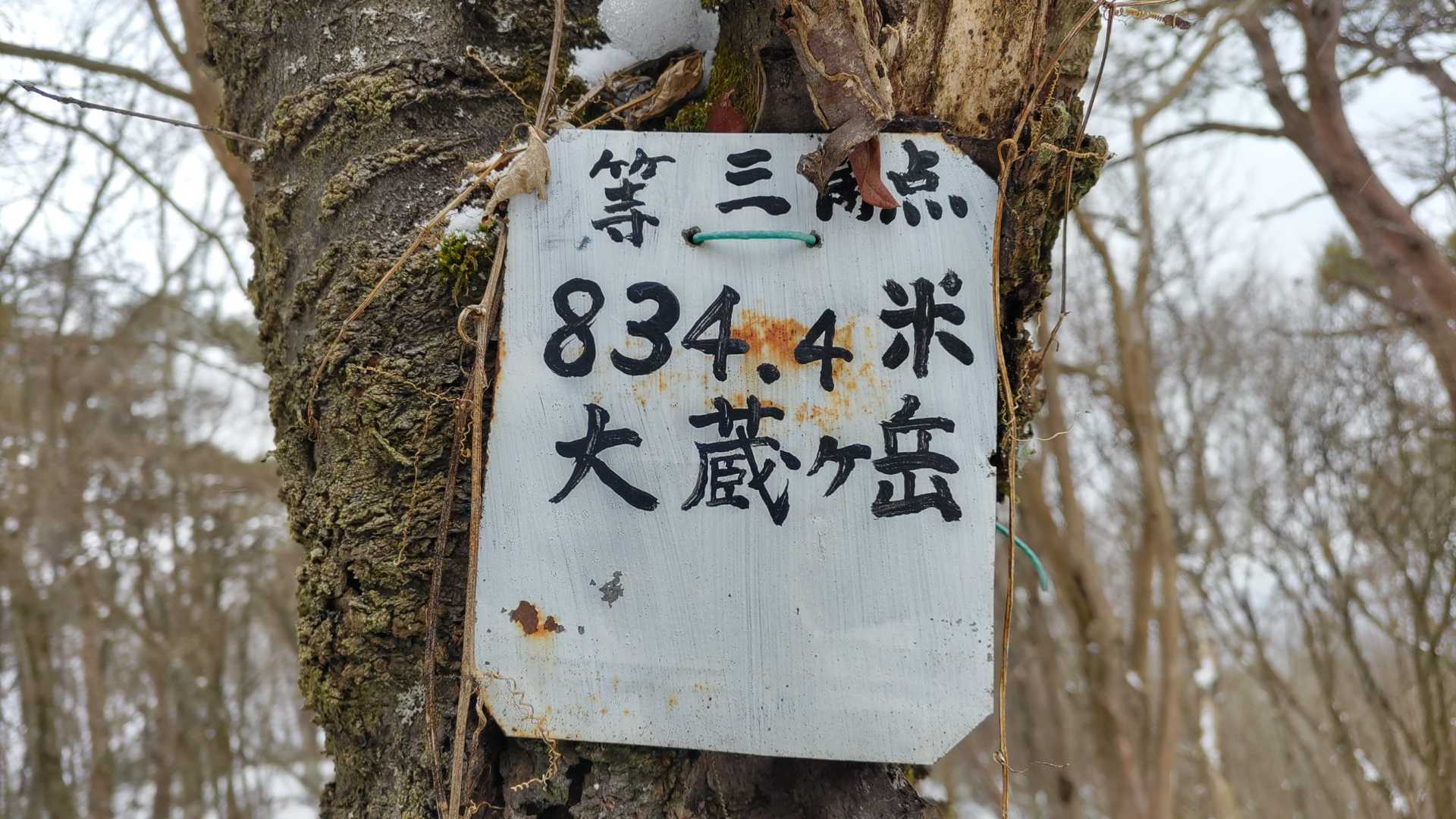 大蔵ヶ岳の写真