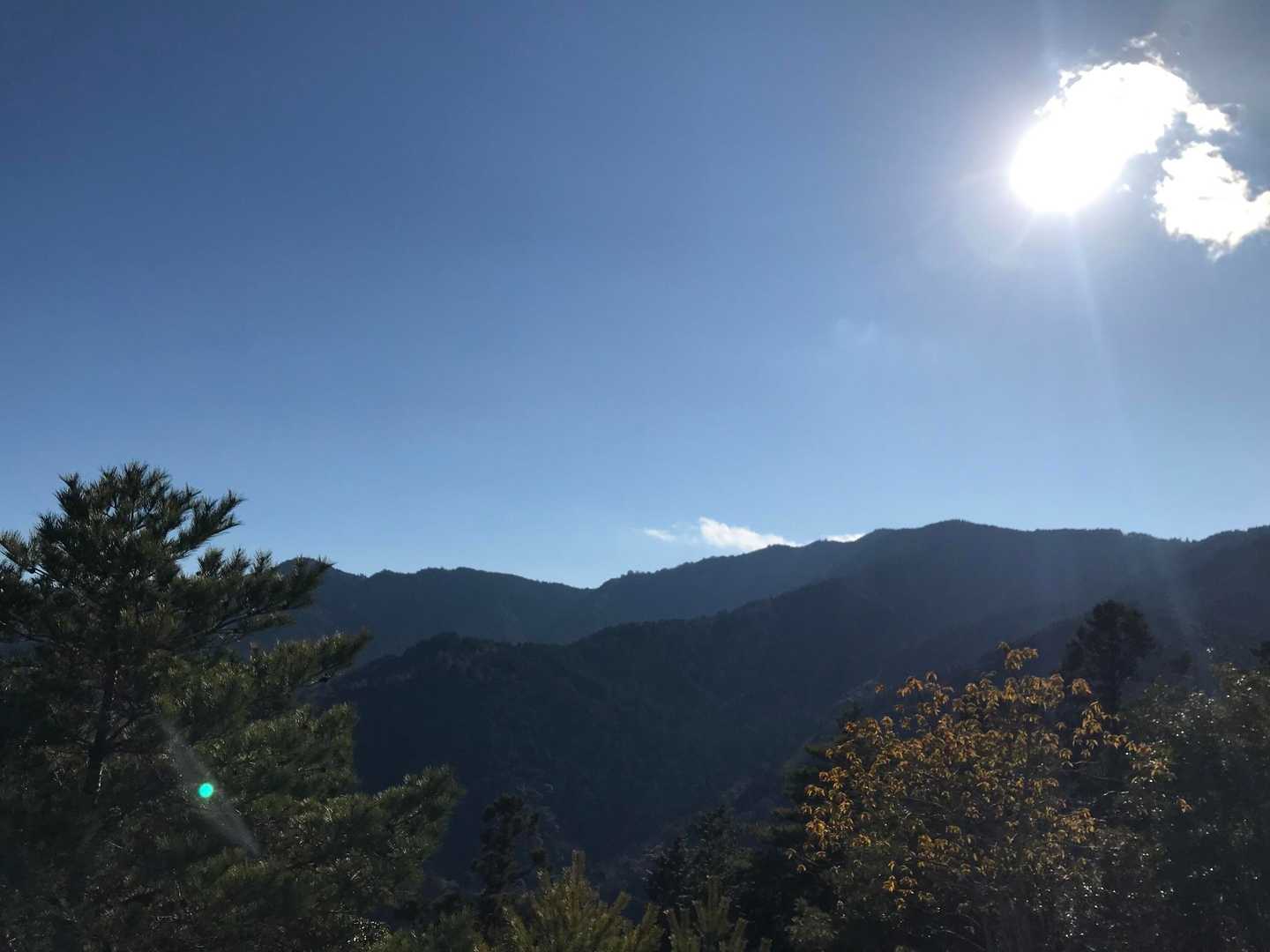 歩いてきた新道コース