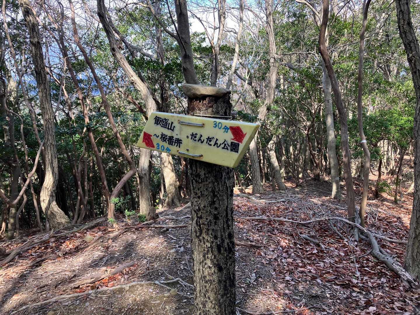 飯盛山、桜番所方面へ