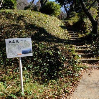 丸山城だったんですね