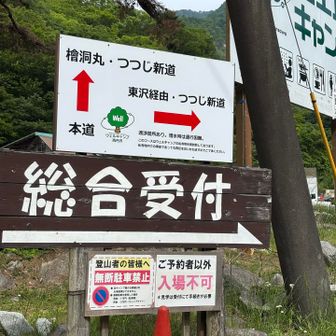 東沢からのツツジ新道って、どんな感じかな？