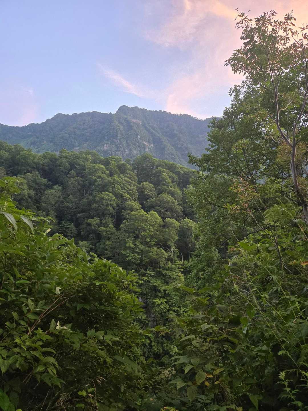 茶臼山-大倉乗越-妙高山 縦走コースの写真