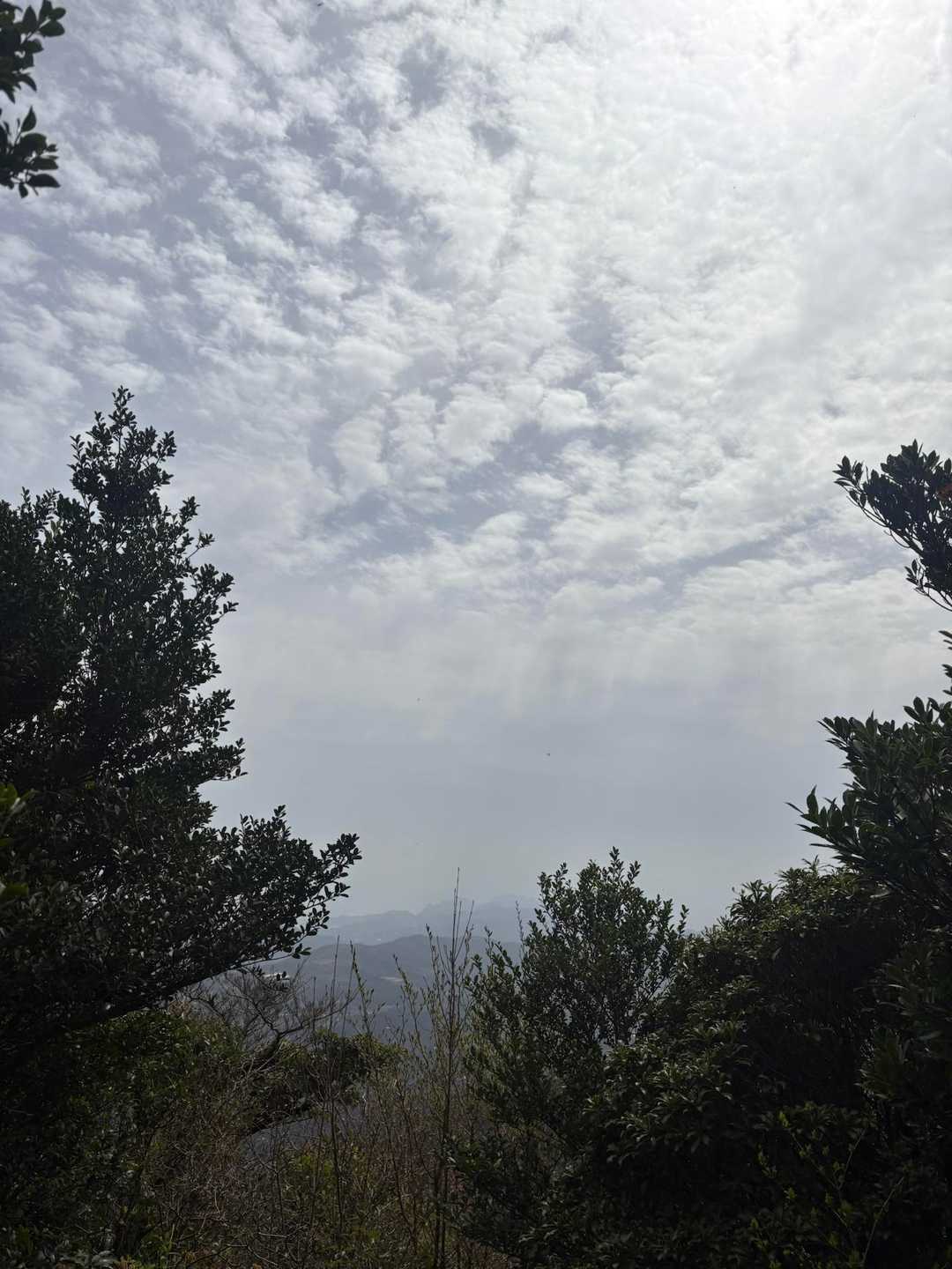 木の間から、景色ちょこっと😊
雲がいい感じ✨