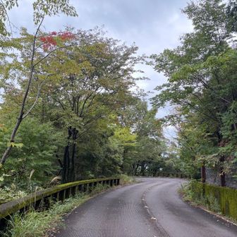 車道を歩いて