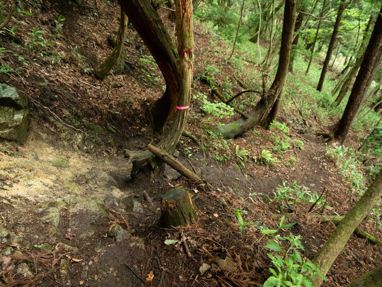 急な下り。スリップしないよう。