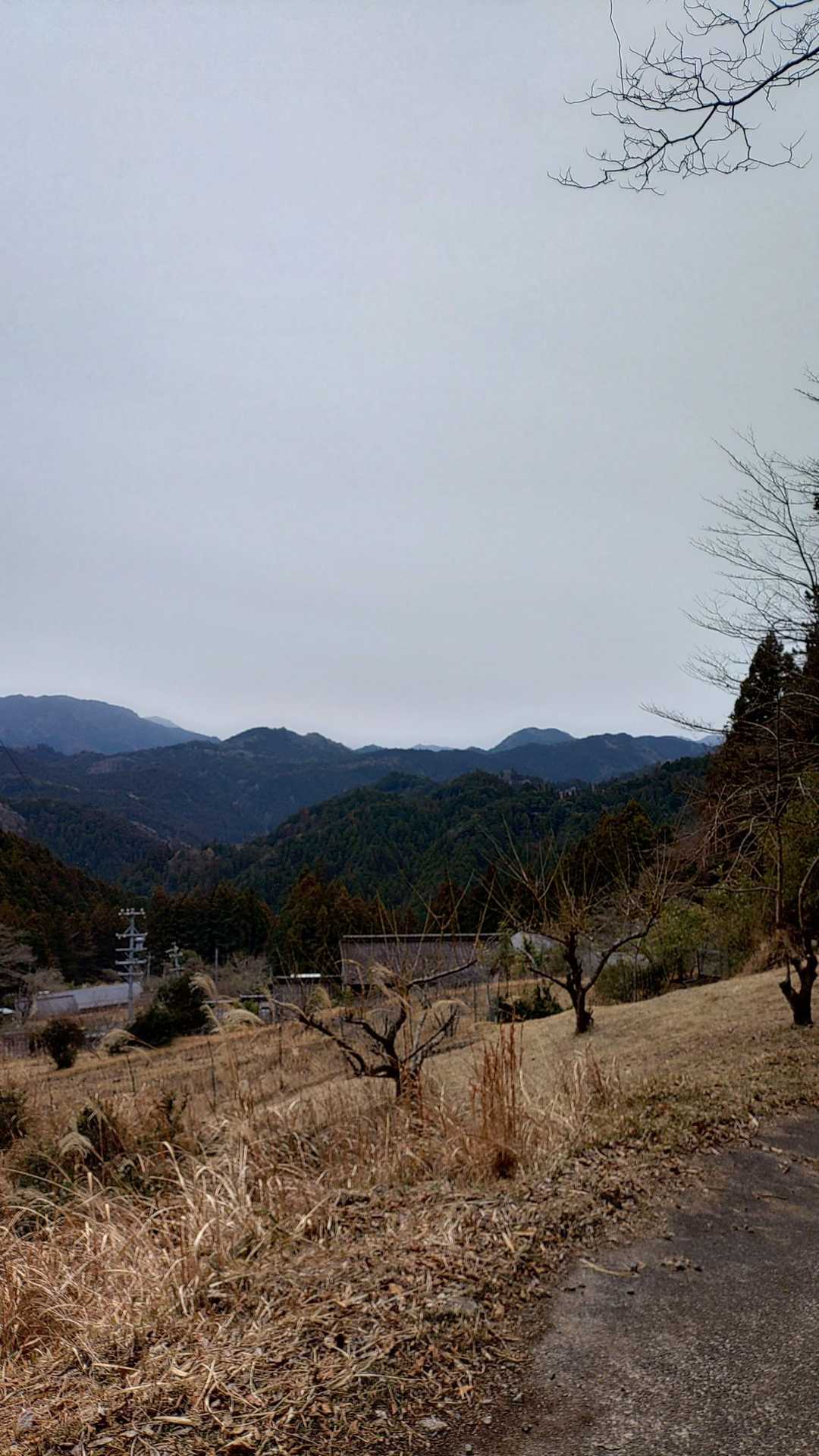 結局、展望を望むことができたのはここだけでした💧
崩落現場を避けるため、迂回路を使い下山↩️