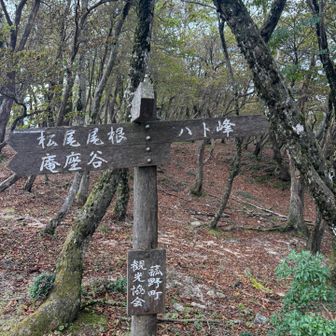 羽鳥峰経由で帰ります