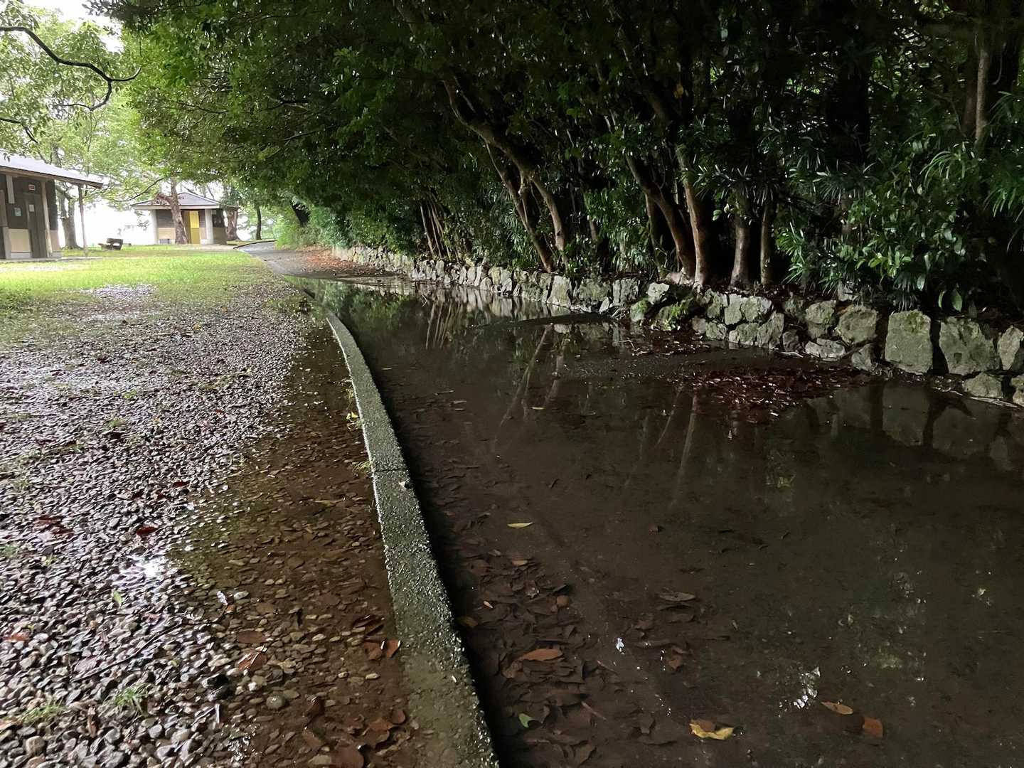 ここはいつも川になるね💦