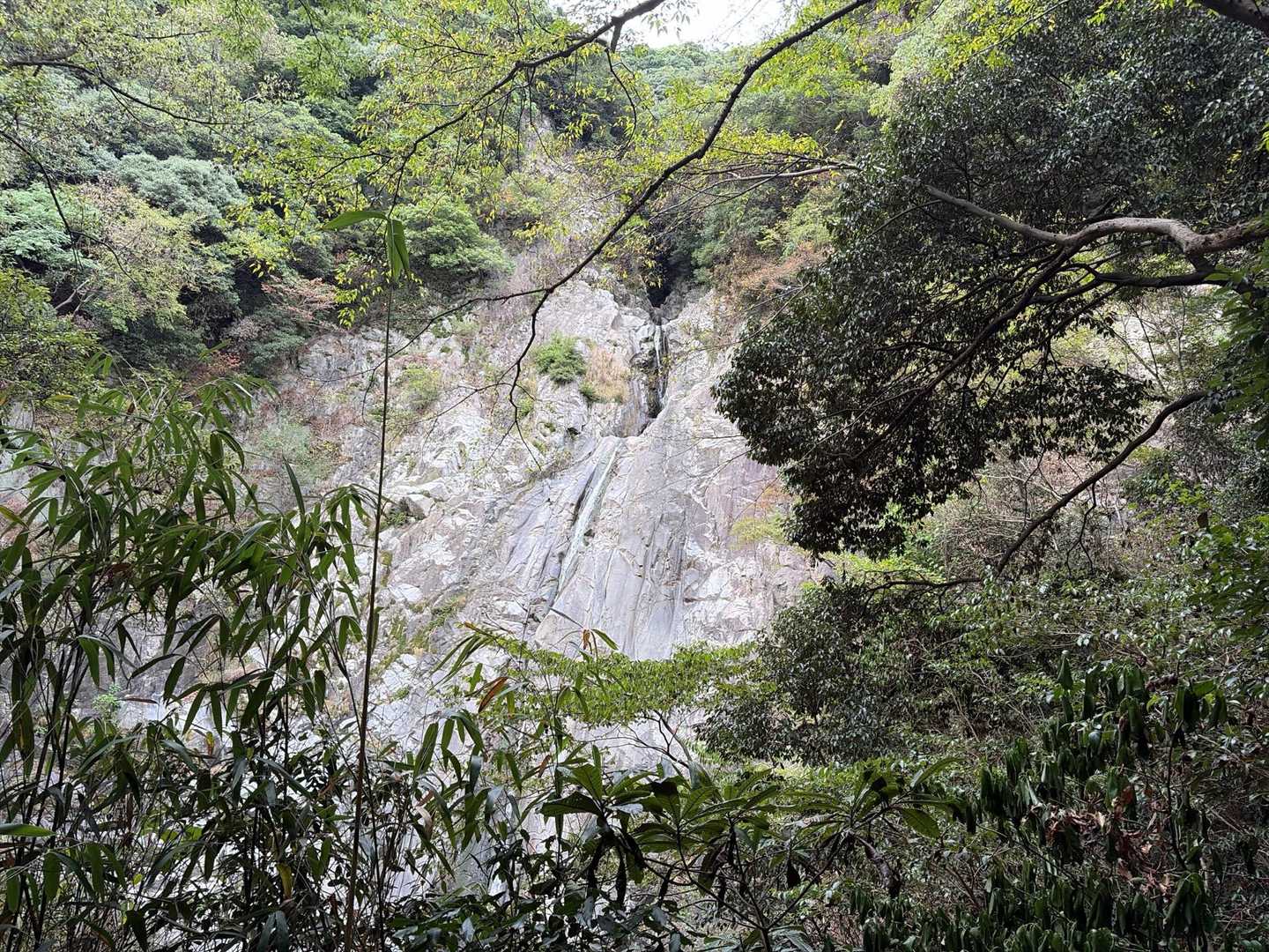 新神戸駅-滝山城跡登山口 往復コースの写真
