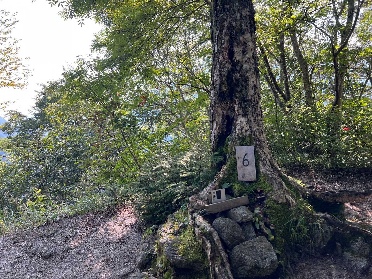 6番の標識
12番からはじまり烏帽子小屋が0というカウントみたいなのでここが中間点。
タクシー運転手の方からここで電話するのが目安とお聞きしましたが、ここから高瀬ダムに降る時間は1時間だとギリギリかなと思います。
また、電波もあまり良くないため、8か9辺りでかけるのが妥当かなと。
