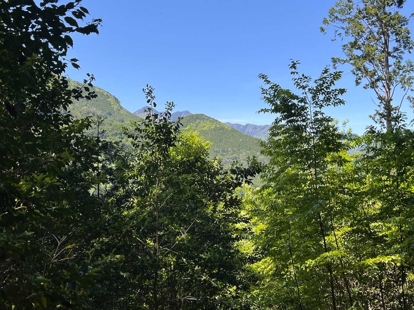 奥大井湖上駅-天狗石山 往復コースの写真