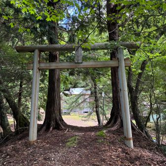 立派な⛩️と奥に八面神社の建物。