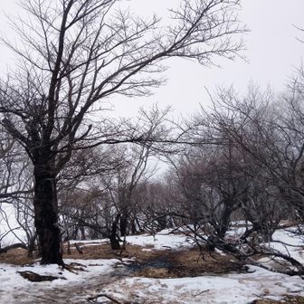 大室山山頂
ガスで何も見えず