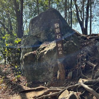 駒止石、この近くにミスミソウの自生地があると友人に教わったが見つけられず。